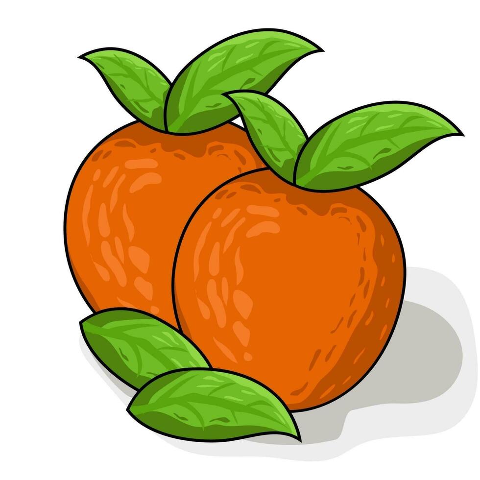 Orange Vektor Illustration , frisch Pfirsich Detail Nahansicht Sommer- tempalte Obst , Markt Jahreszeit Diät Vitamin bunt