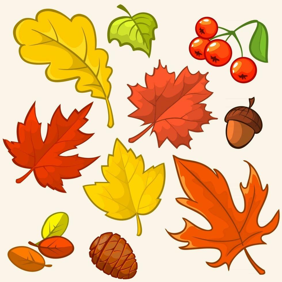 samling skön färgrik höst löv isolerat på vit bakgrund. vektor illustration