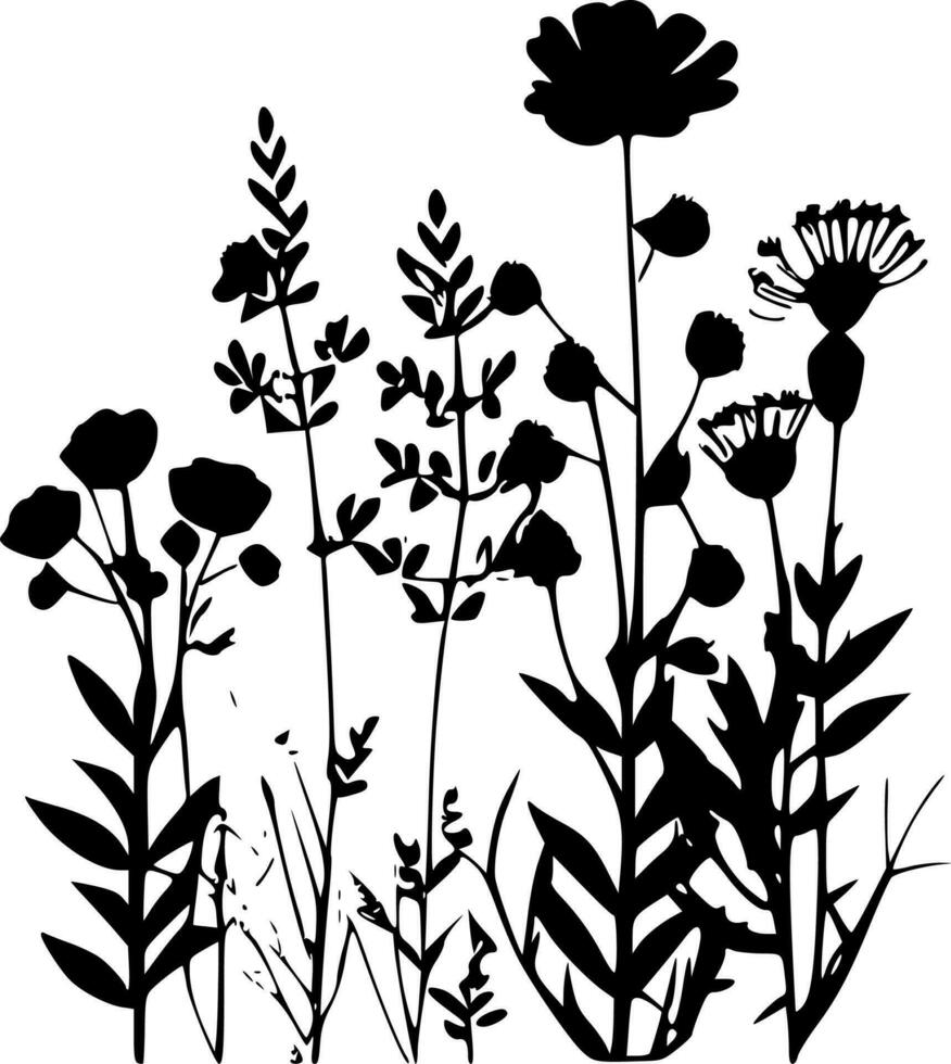 vildblommor, svart och vit vektor illustration