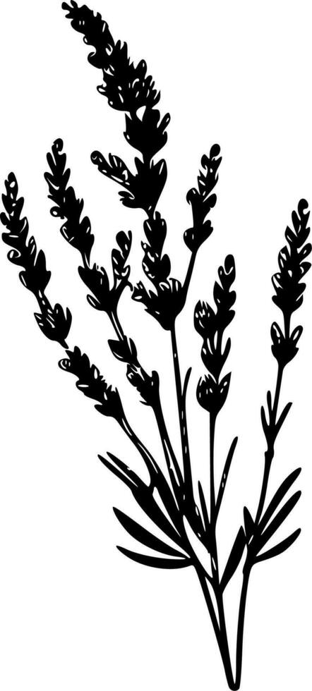 Lavendel - - minimalistisch und eben Logo - - Vektor Illustration