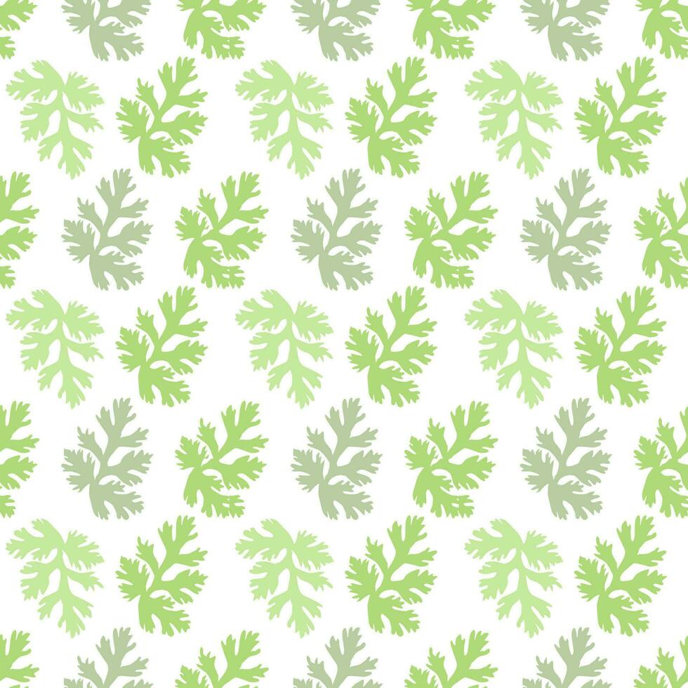grön koriander löv mönster på vit bakgrund, platt vektor. vektor