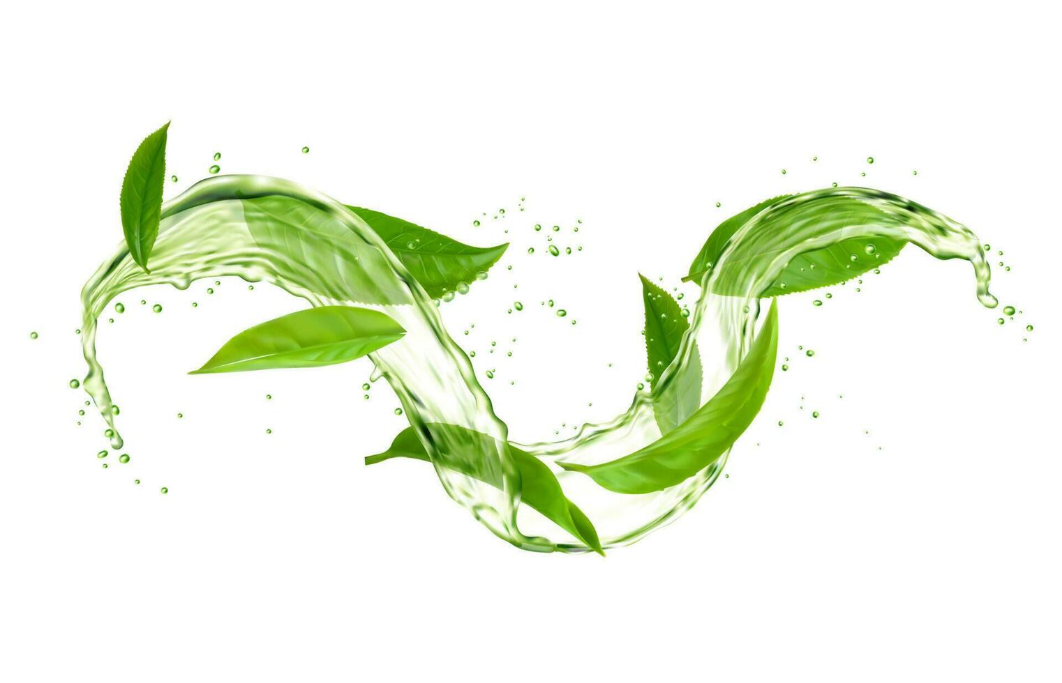 Kräuter- Tee trinken Welle Spritzen mit Grün Tee Blätter vektor