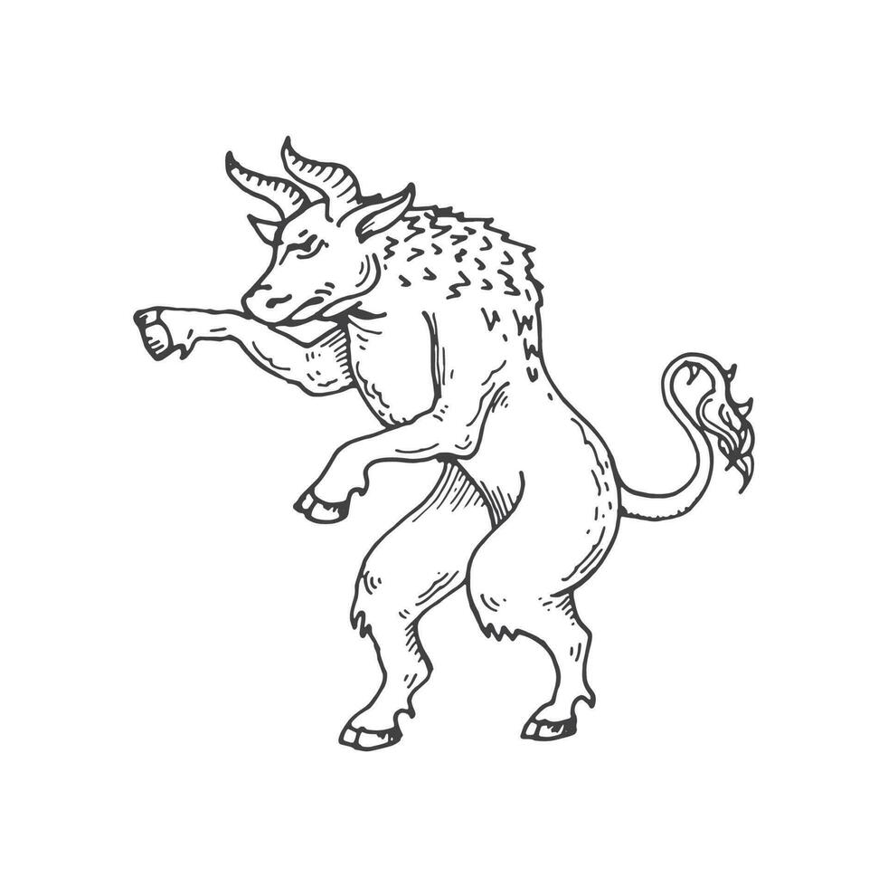minotaur medeltida heraldisk tjur djur- skiss vektor