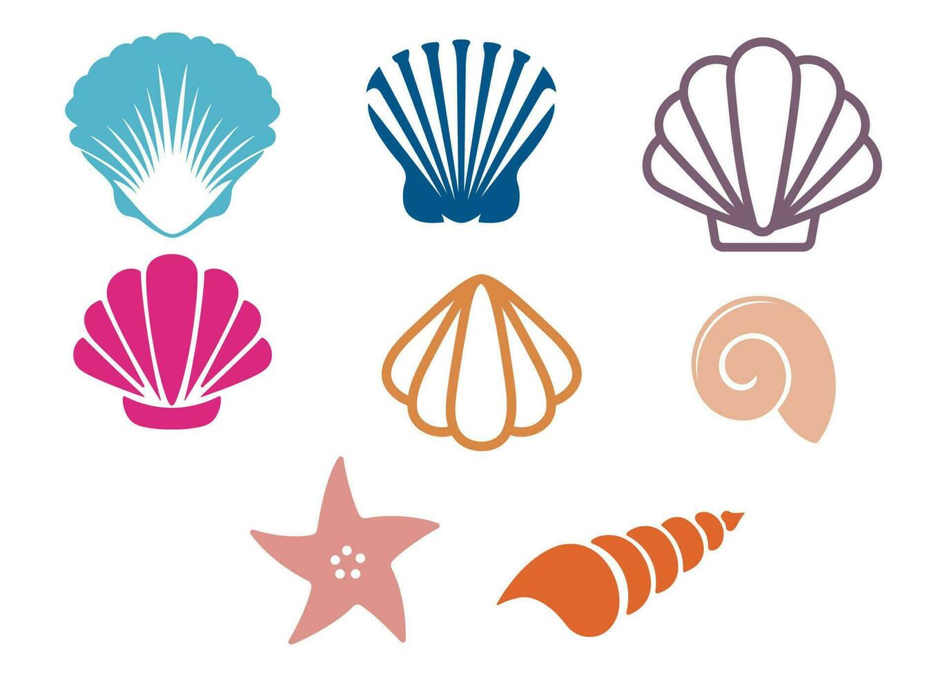 Meer Muscheln, Seesterne, Auster und Muschel . einstellen von Meer Leben. Hand gezeichnet Vektor Illustration