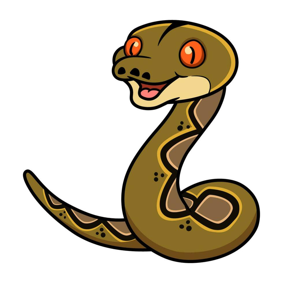 süß glücklich reticulatus Python Karikatur vektor