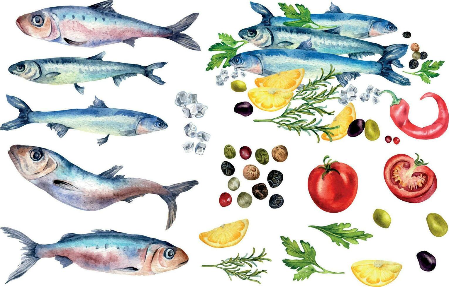 uppsättning av ansjovis, sardin och grönsaker vattenfärg illustration isolerat på vit. hav fisk, sardin, kryddor, citron, tomater hand ritade. design element för meny, sång, kokbok, omslag vektor