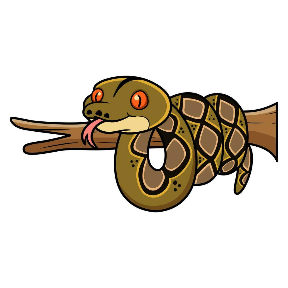 süß reticulatus Python Karikatur auf Baum Ast vektor