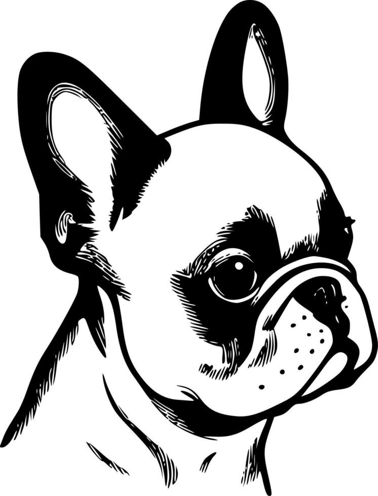 franska bulldogg - hög kvalitet vektor logotyp - vektor illustration idealisk för t-shirt grafisk