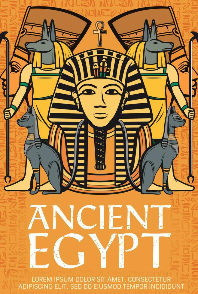 tutankhamen farao, gammal egypten gudar och gudom vektor