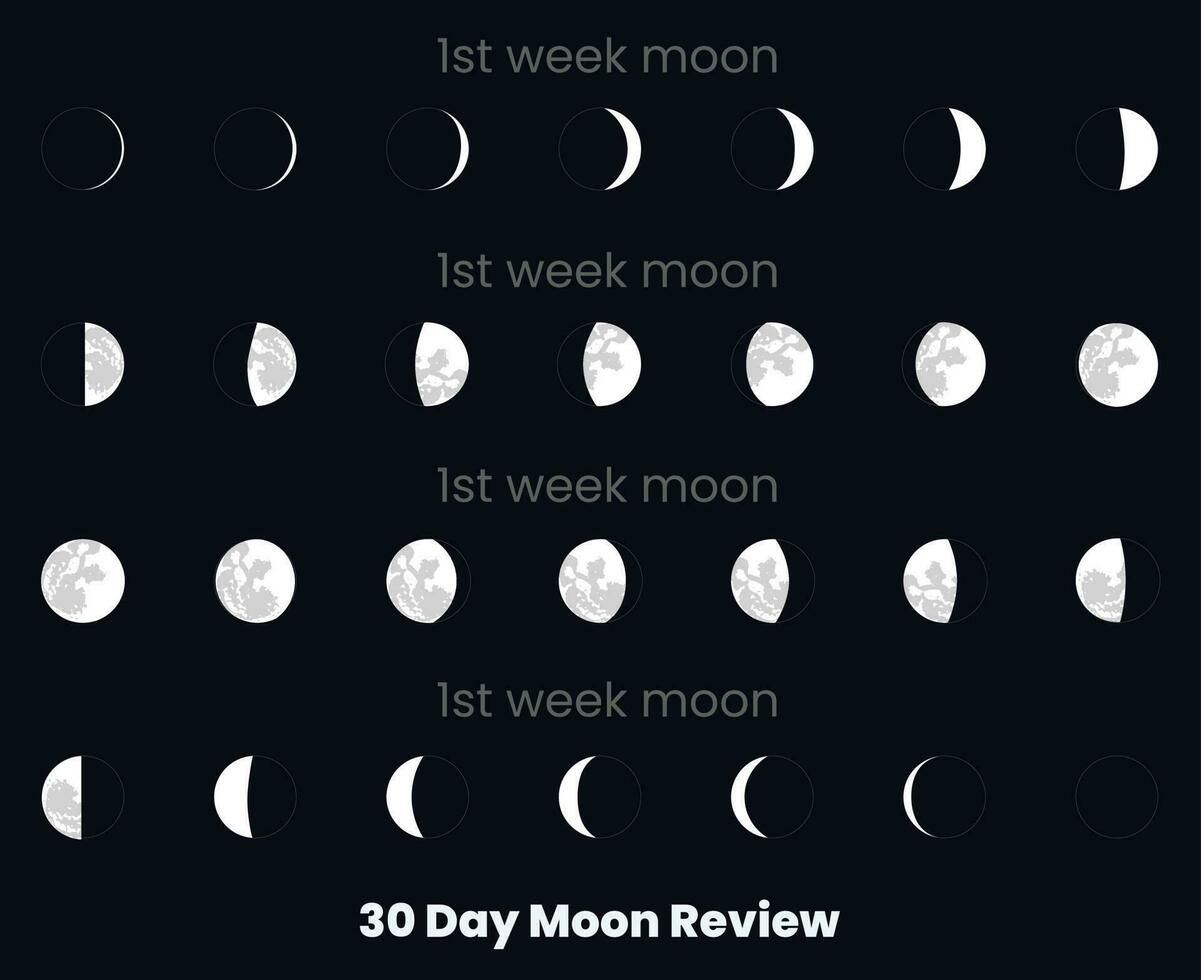 ein Diagramm von das Mond Rezension mit das Datum von das Monat. 30 Tag Mond Satz, Mond Rezension. 30 Tag Mond Rezension. Mond Phasen Astronomie Symbole Satz, Vektor Illustration. isoliert Gliederung Symbol.