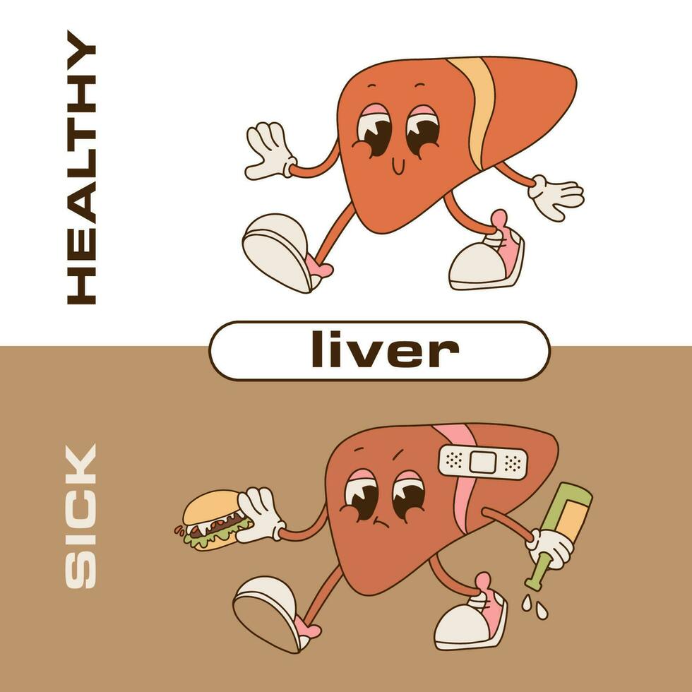 ledsen ohälsosam sjuk lever innehav alkohol flaska, hamburgare och stark friska Lycklig lever. retro tecknad serie karaktär illustration.mat, sjukdom värk, anatomi begrepp. vektor illustration.