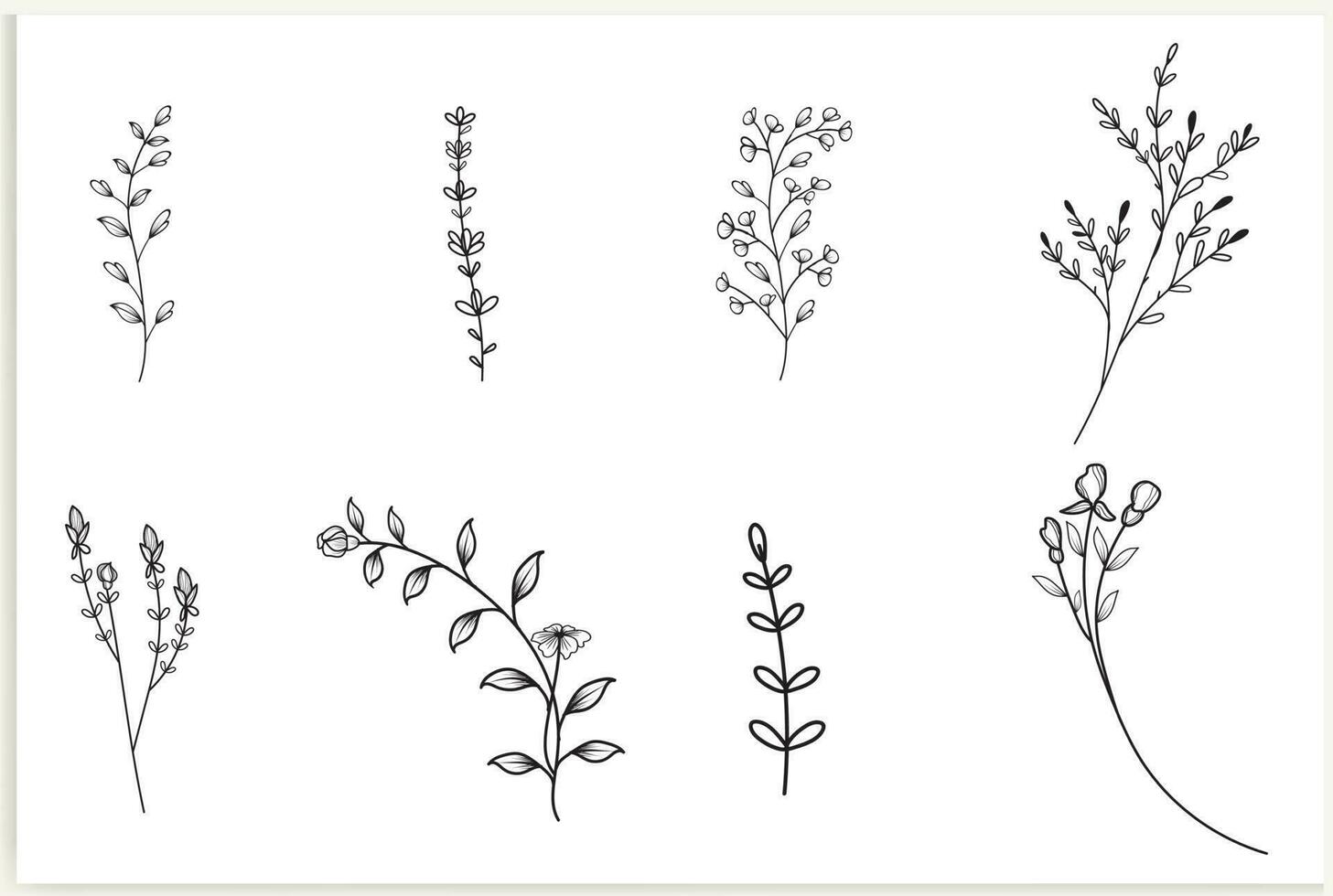 uppsättning av vektor årgång blommig element.handritade söt linje konst. element blommor, grenar, swash, och krusidullar