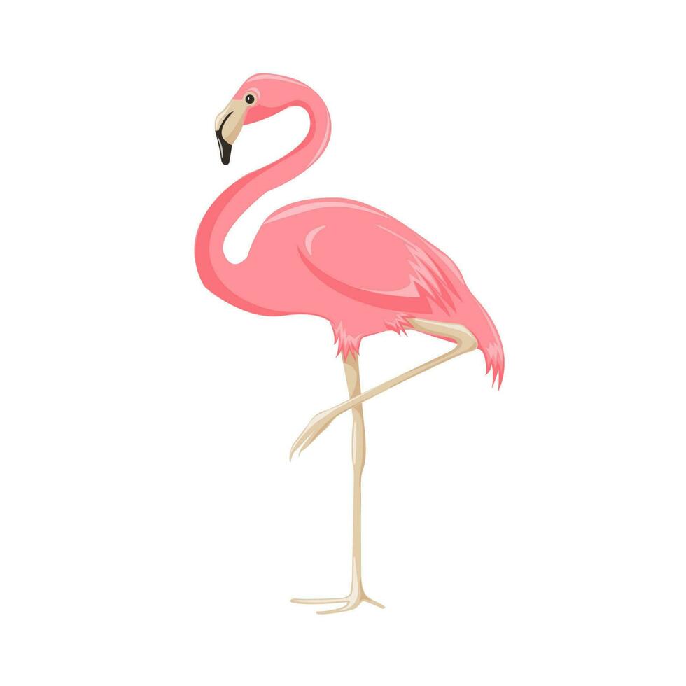 vektor illustration av en rosa flamingo i tecknad serie stil på en transparent bakgrund.