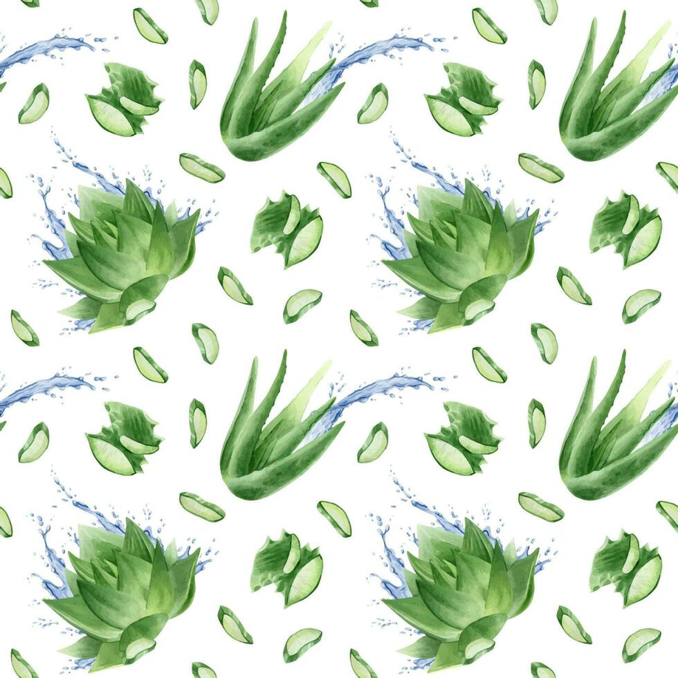 aloe vera växt, skivor, massa, aloe löv och vatten stänk. vattenfärg sömlös mönster på en vit bakgrund. för förpackning kosmetika, scrapbooking, omslag papper vektor