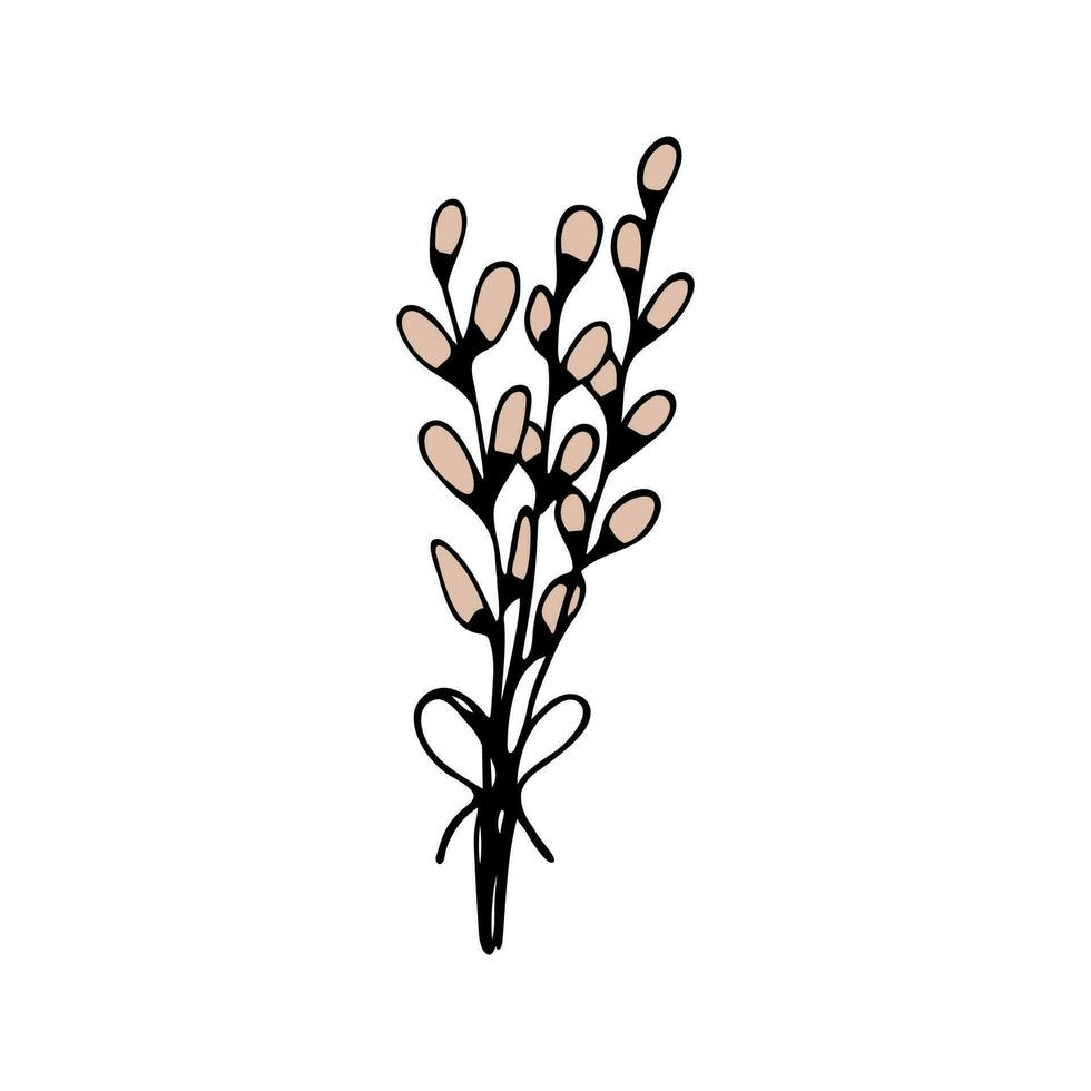 süß Single Hand gezeichnet Blumen Weide. Frühling Blüte. vektor