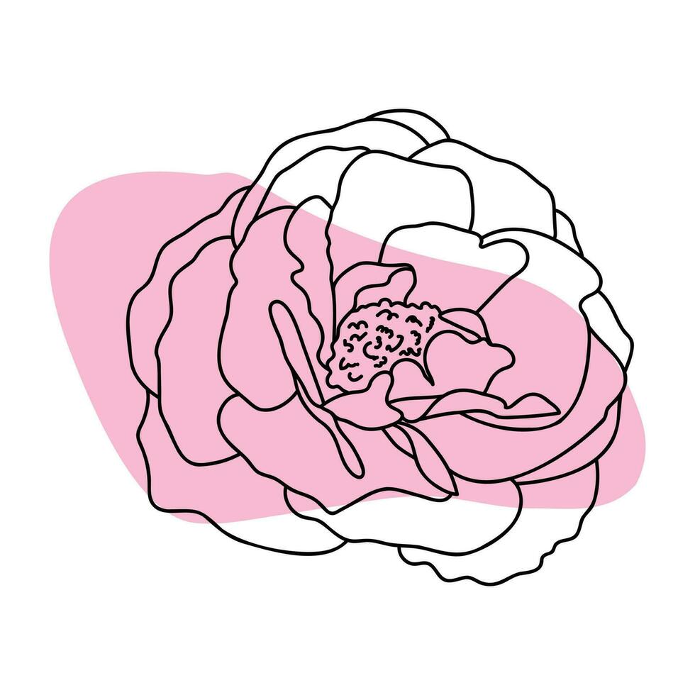 Rose Hand gezeichnet Illustration im Vektor Skizzen, Linie Kunst.