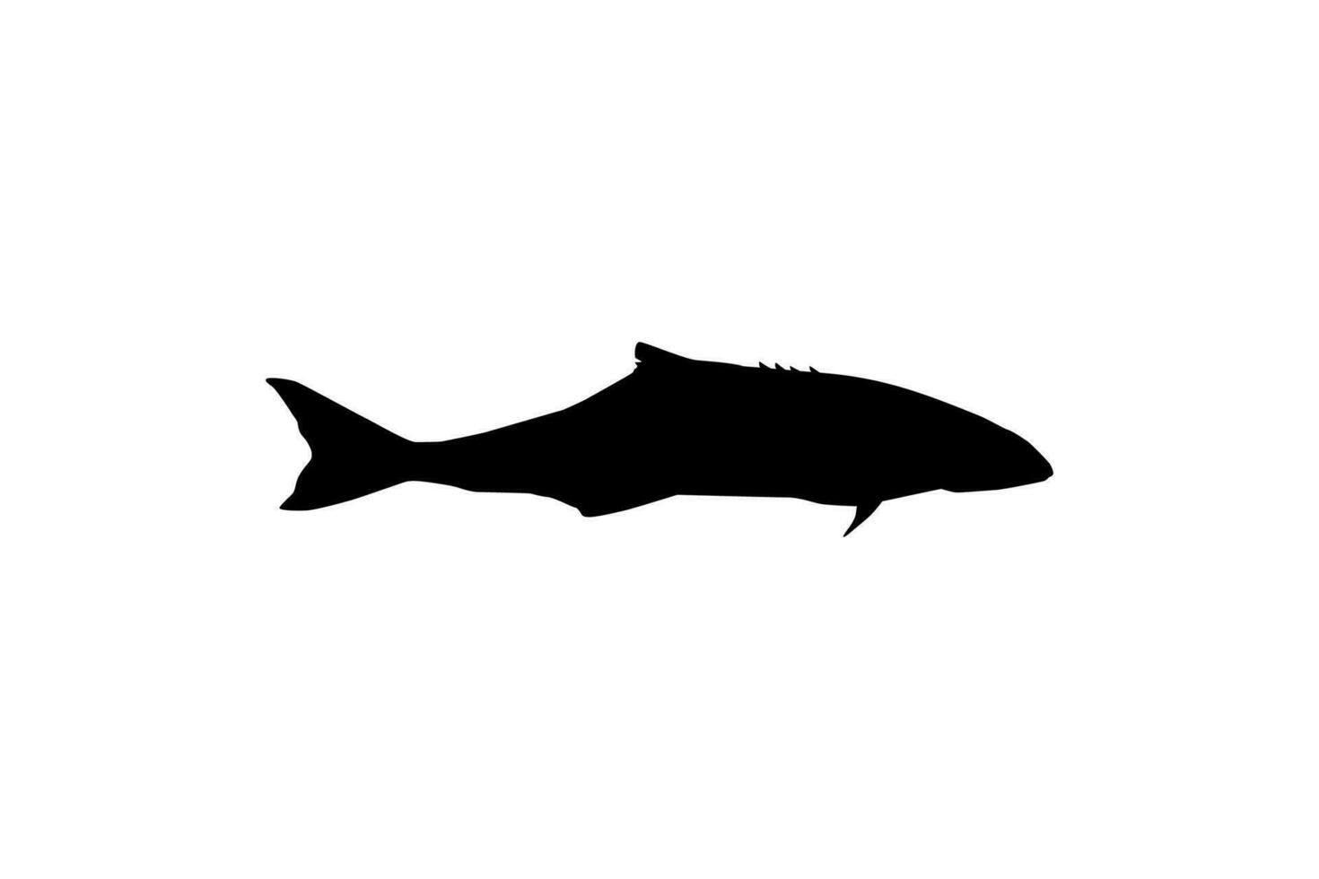 cobia fisk silhuett, också känd som svart kungsfisk, svart lax, långa, citronfisk, crabeater, slösande son, torsk, och svart bonito. vektor illustration