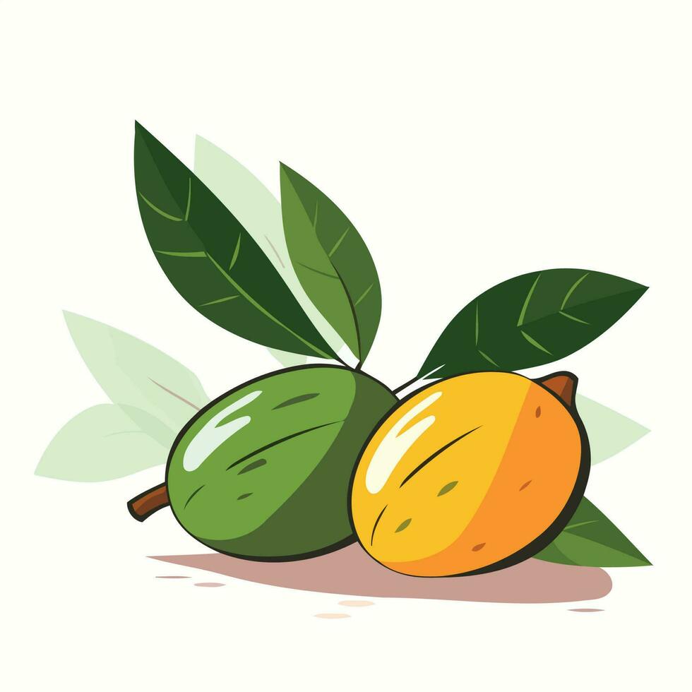 mango frukt med löv vektor