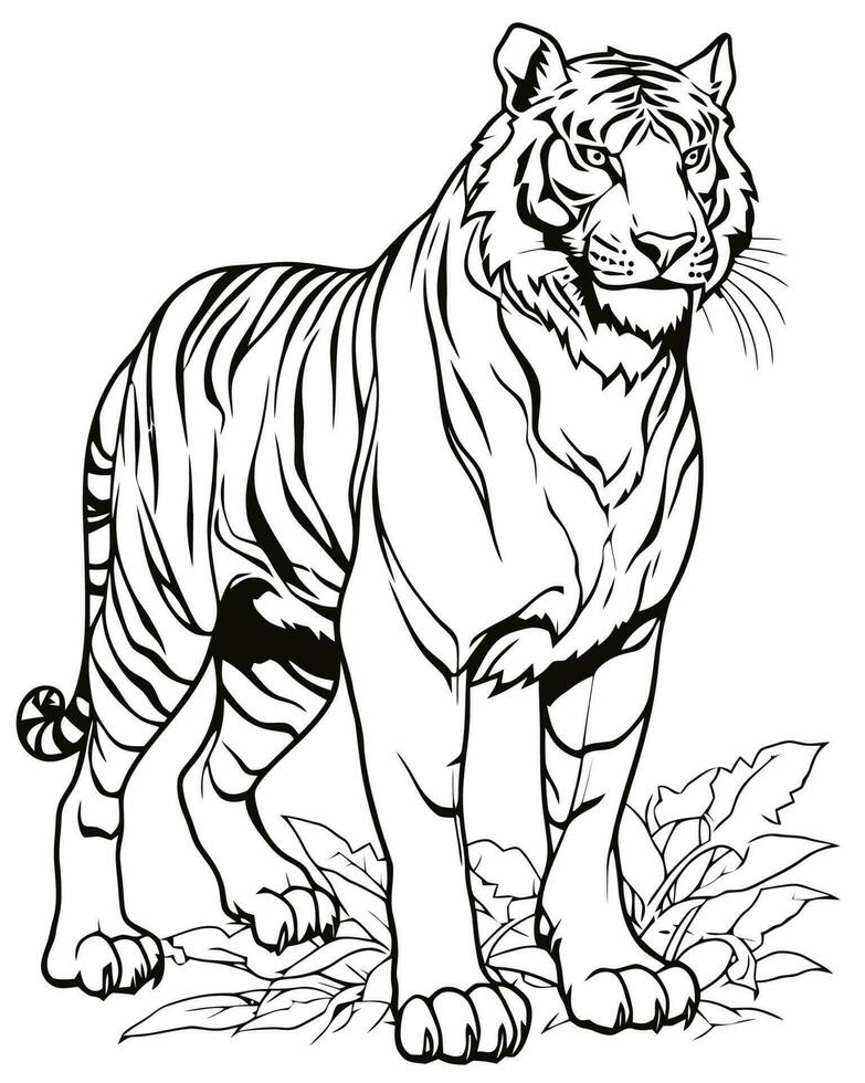 Weiß Tiger Färbung Seite vektor