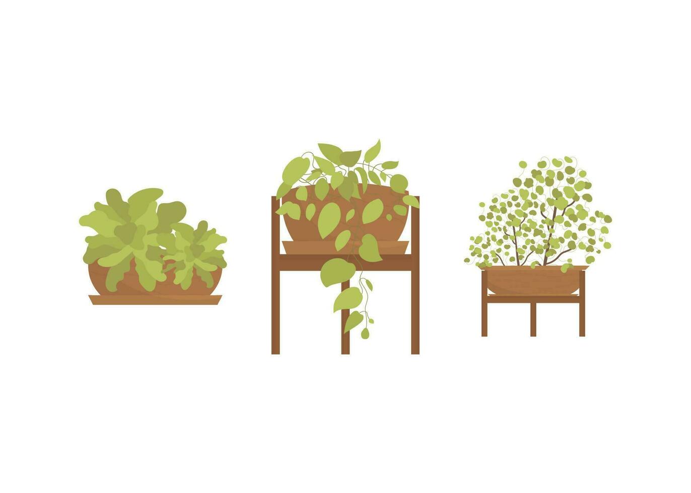 uppsättning av Hem grön växter i krukor. isolerat. platt stil. vektor