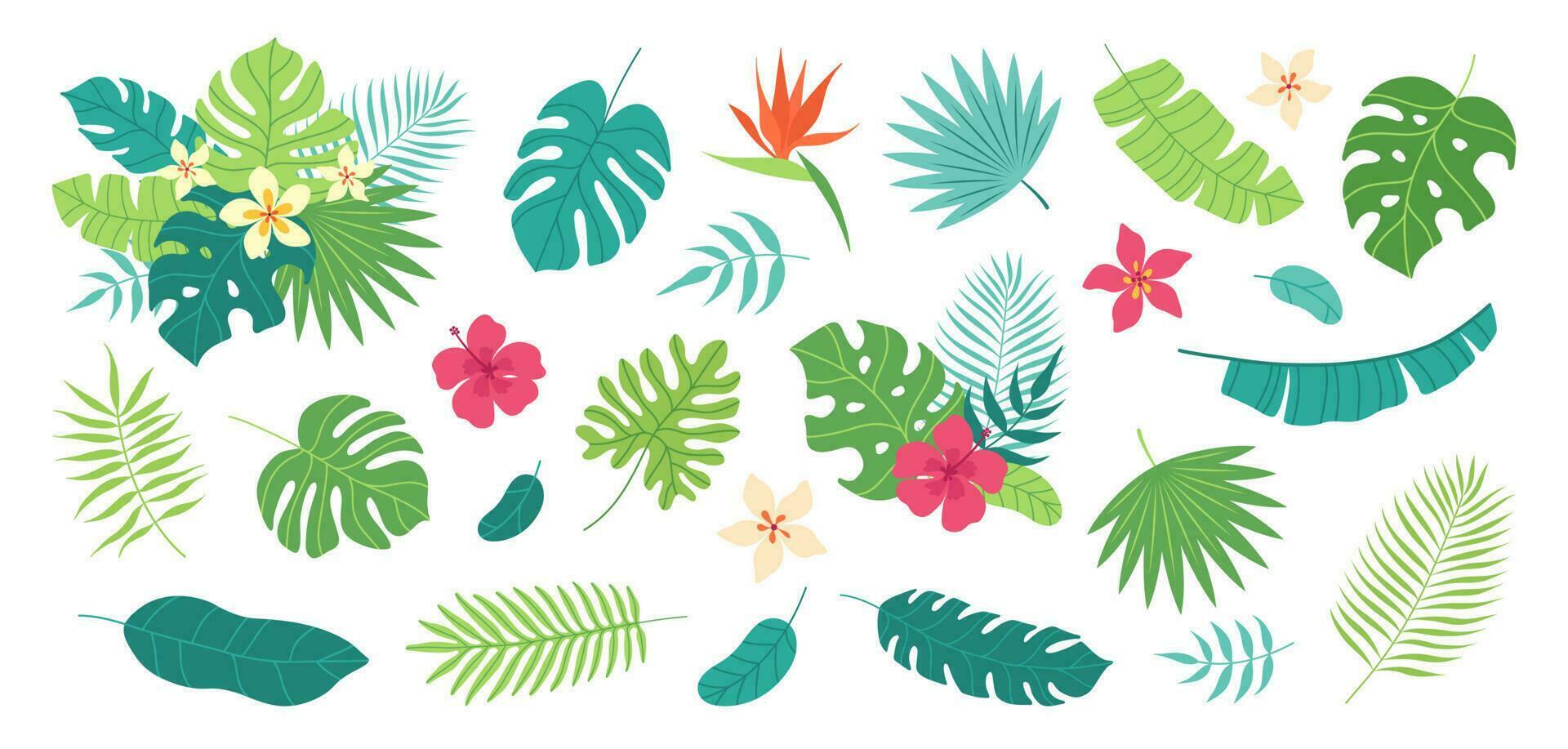 uppsättning av tropisk löv och exotisk blomma. handflatan, banan blad, hibiskus, plumeria blommor, fågel av paradis. buketter med tropisk blommor. vektor platt tecknad serie illustration.