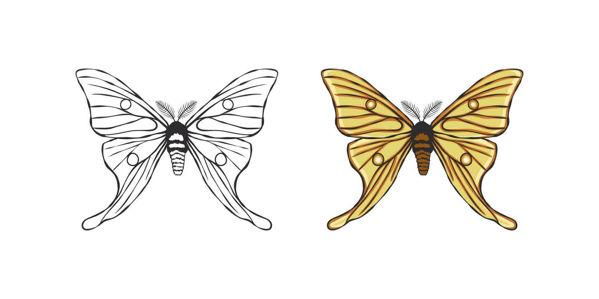 Schmetterlinge Symbole. exotisch Schmetterlinge. Hand gezeichnet Schmetterling Konturen. Vektor skalierbar Grafik
