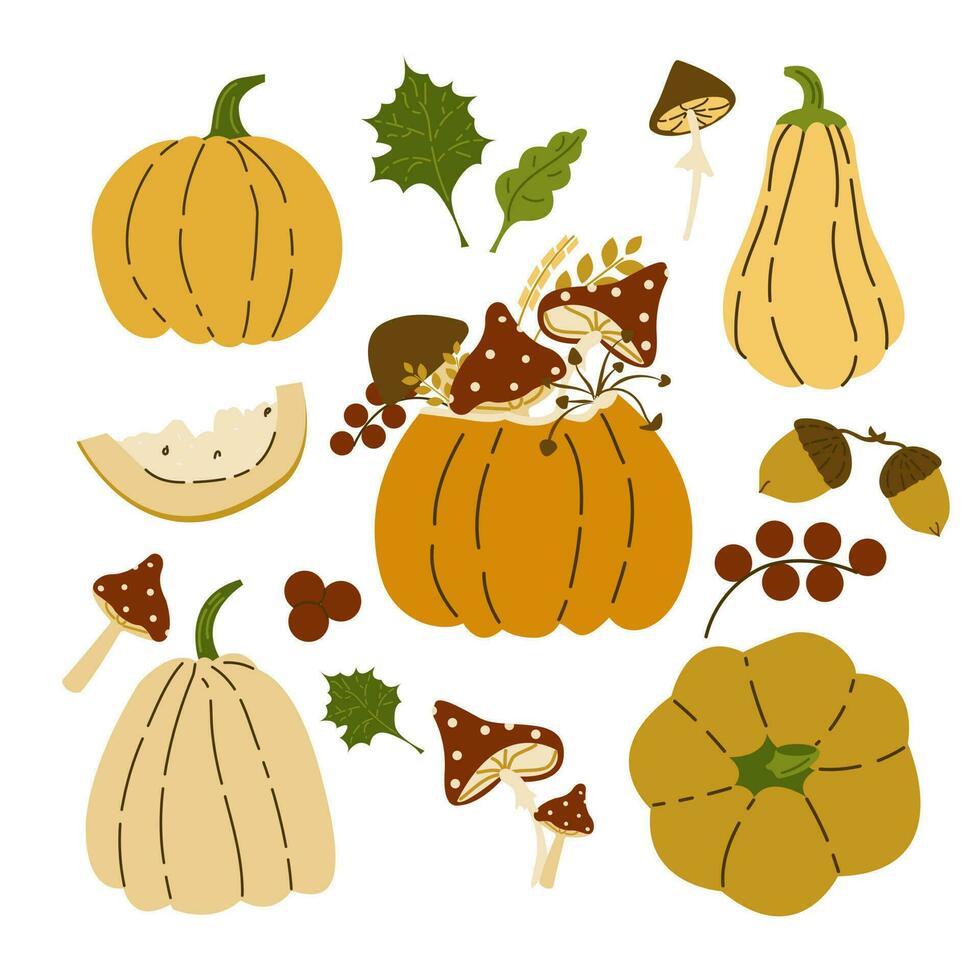 hand dragen pumpa uppsättning med löv, bär, svamp, halv med frön och skivor. höst, falla, tacksägelse och halloween dekoration. hand dragen pumpor vektor uppsättning