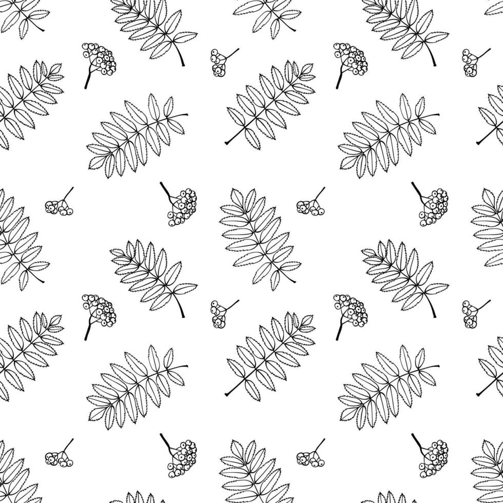 Nahtloses Muster mit herbstlichen Ebereschenblättern. Herbstferien Hintergrund. hand gezeichnete vektorillustration. vektor