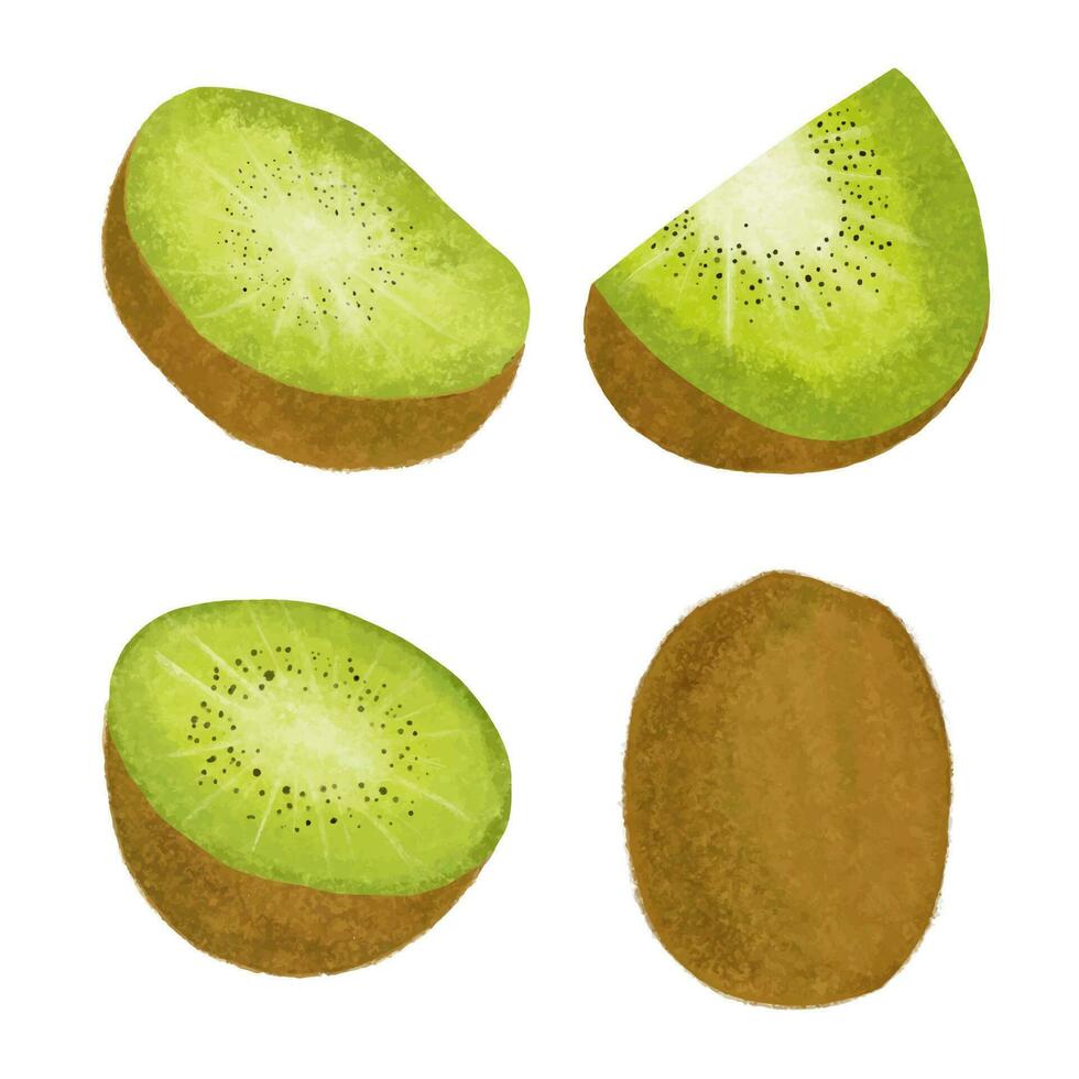 kiwi frukt uppsättning. hand dragen vattenfärg illustration isolerat på vit bakgrund. vektor