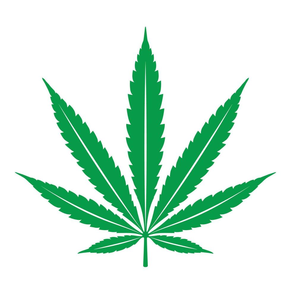 marijuana vektor cannabis blad ogräs ikon logotyp klämma konst illustration grafisk