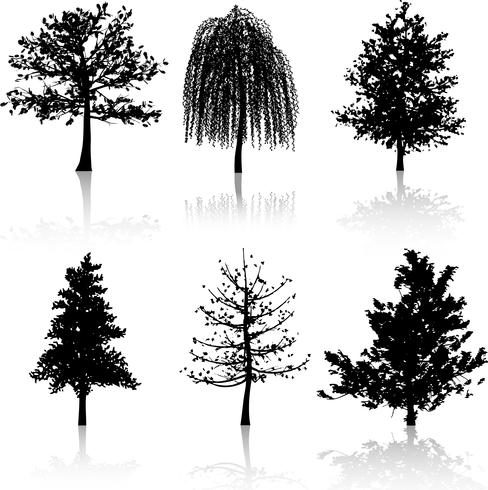 Baum Silhouetten vektor