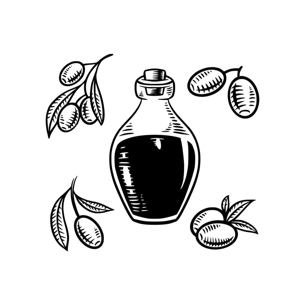 Retro-Vintage-Design der Olivenölflaschenschattenbild vektor