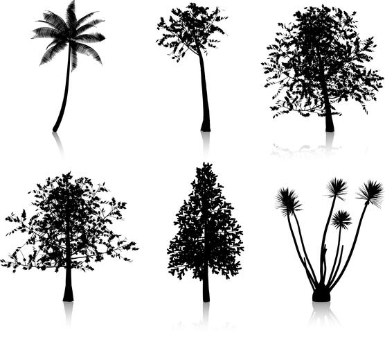 Träd silhuetter vektor