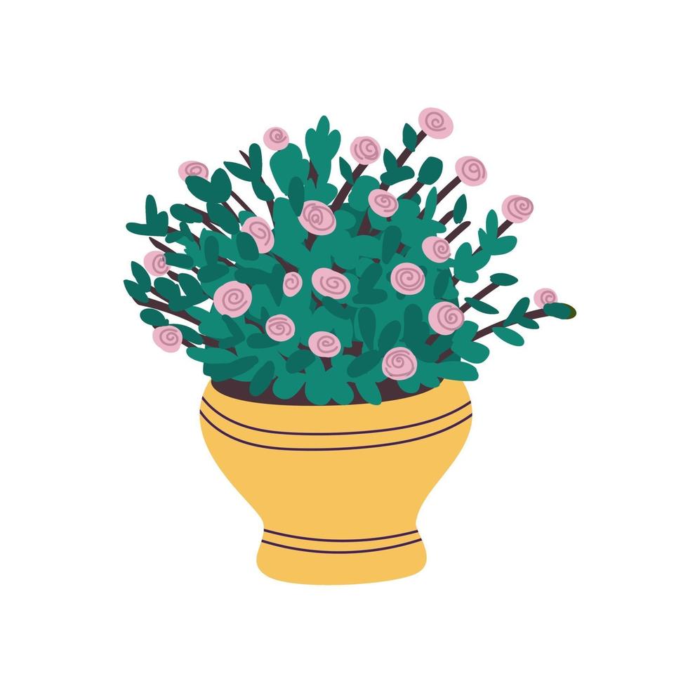 In einem Topf wächst eine wunderschöne rosa Rose. Zimmerpflanze mit grünen Blättern in einem gelben Topf. Topfpflanzenrose lokalisiert auf einem weißen Hintergrund. Flache Vektorillustration. Vektorillustration vektor