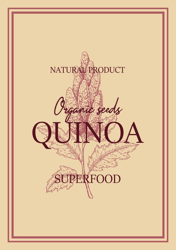 Quinoa-Verpackungsdesign mit handgezeichnetem Element. Vektorillustration im Skizzenstil vektor