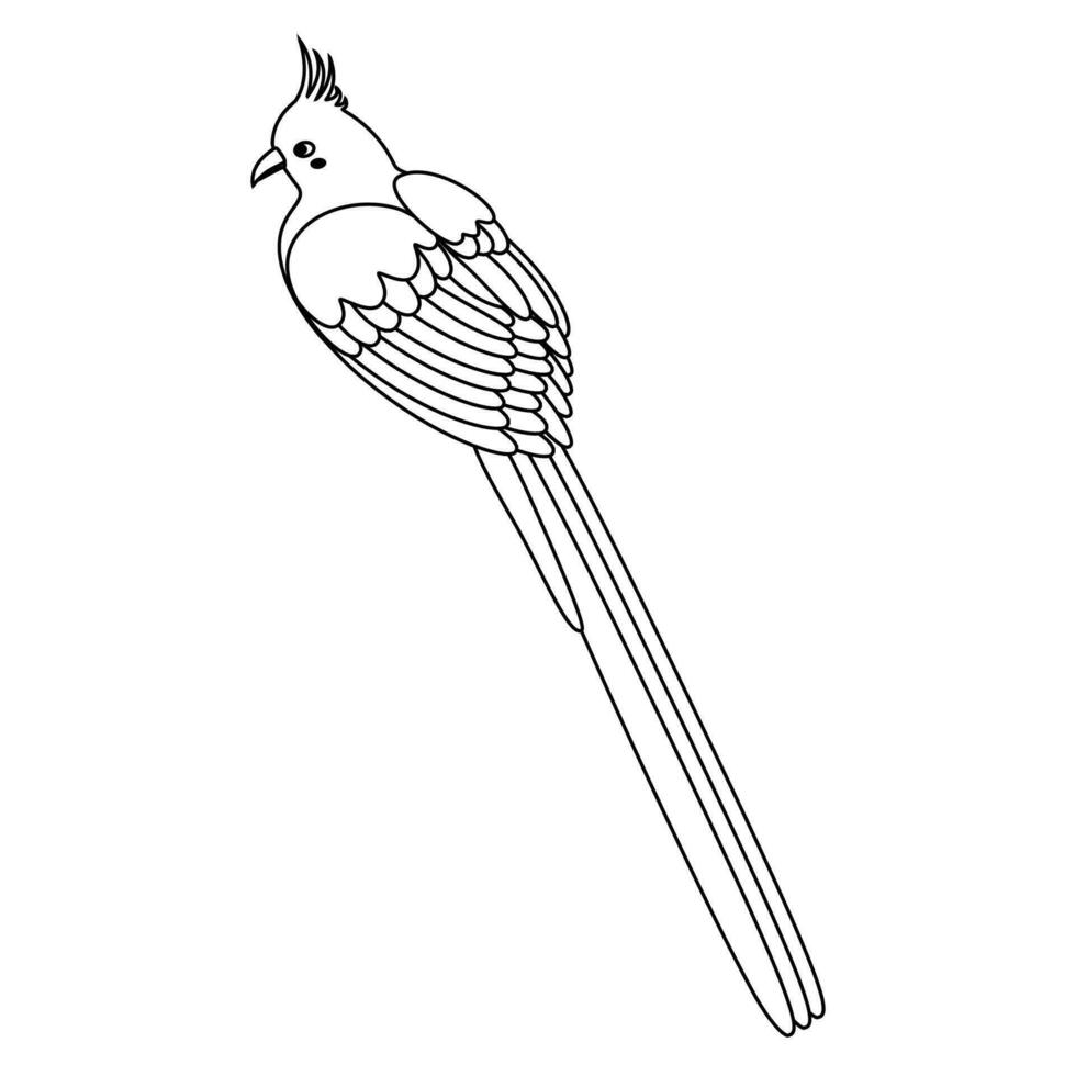 Niedlich, Karikatur coliiformes, coliidae Vogel, Mausvogel. Linie Kunst. vektor