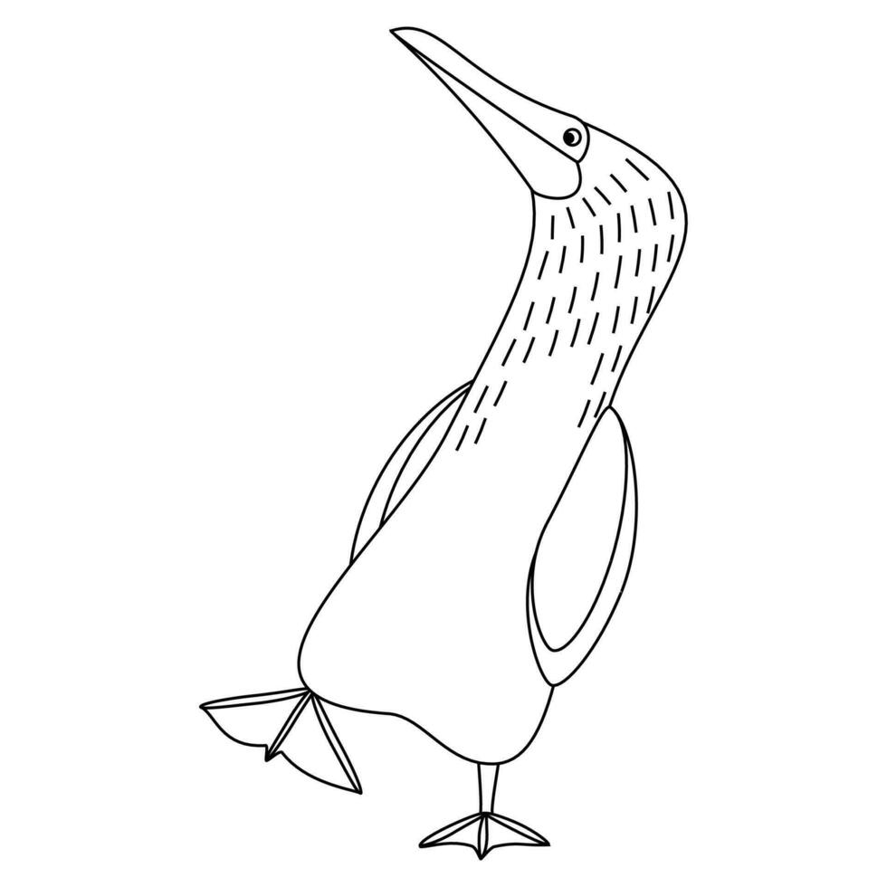 söt, tecknad serie sula nebouxii fågel. linje konst. vektor