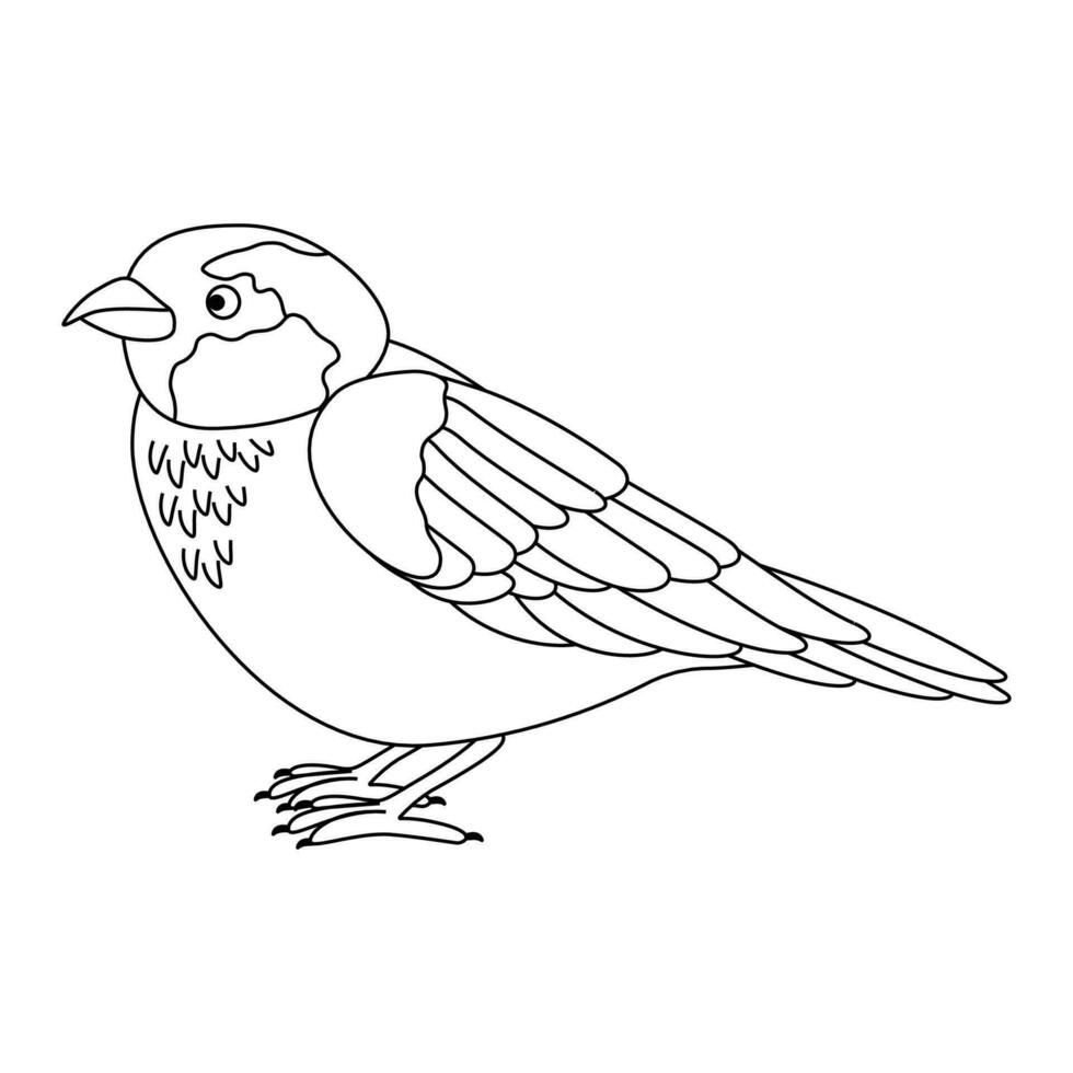 söt, tecknad serie Sparv fågel. linje konst. vektor