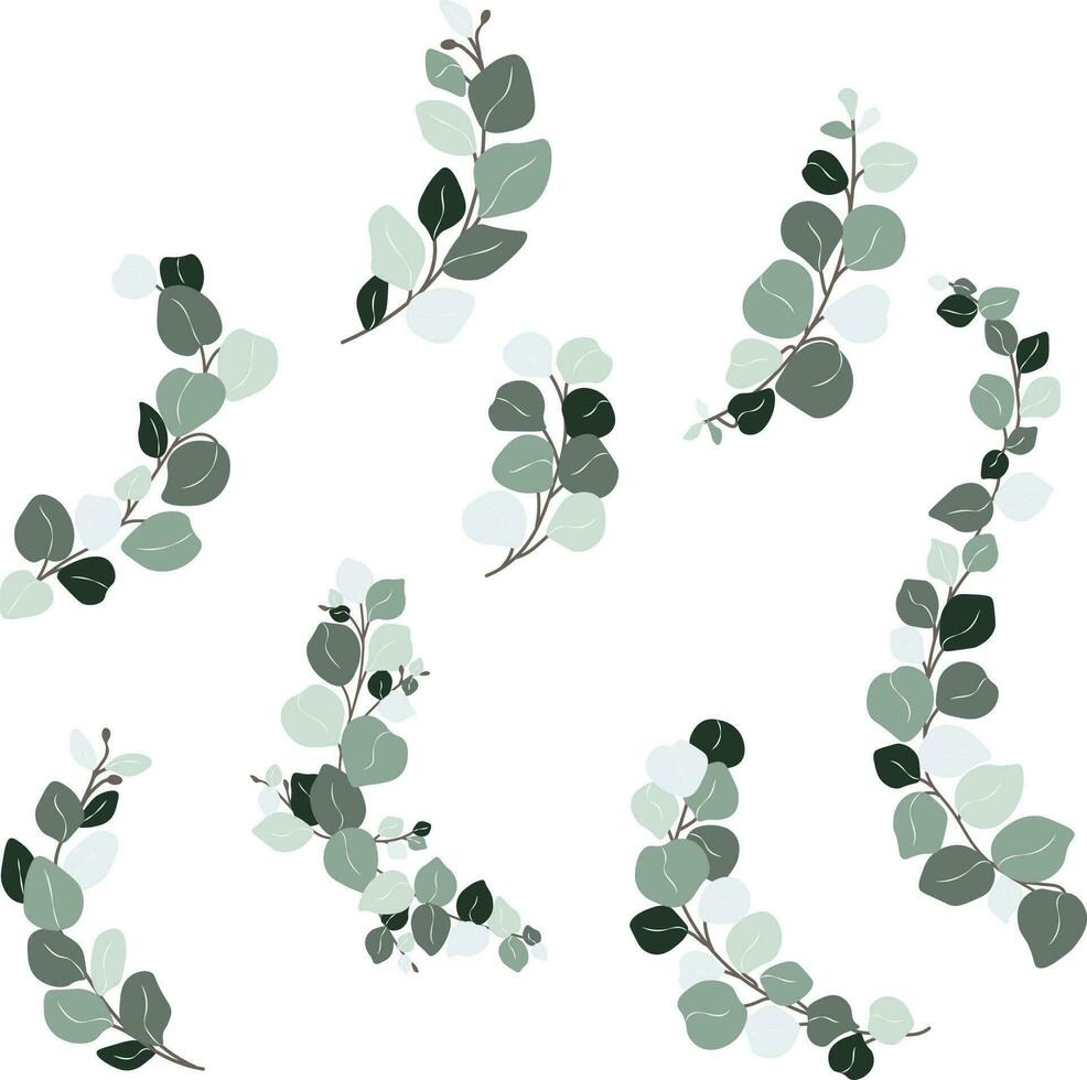 eukalyptus uppsättning blad hand dragen vektor illustration