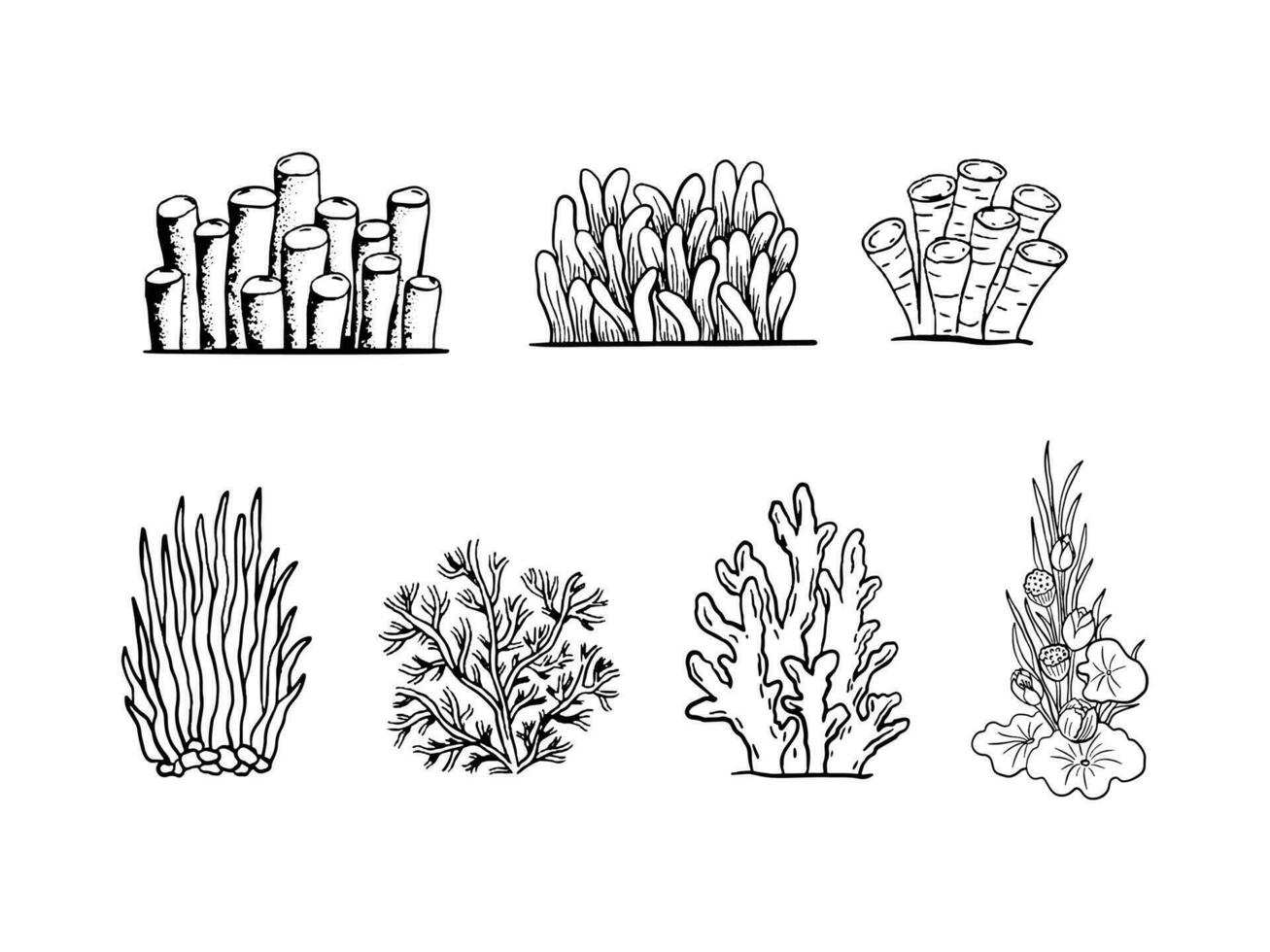 marin liv och växter illustration vektor