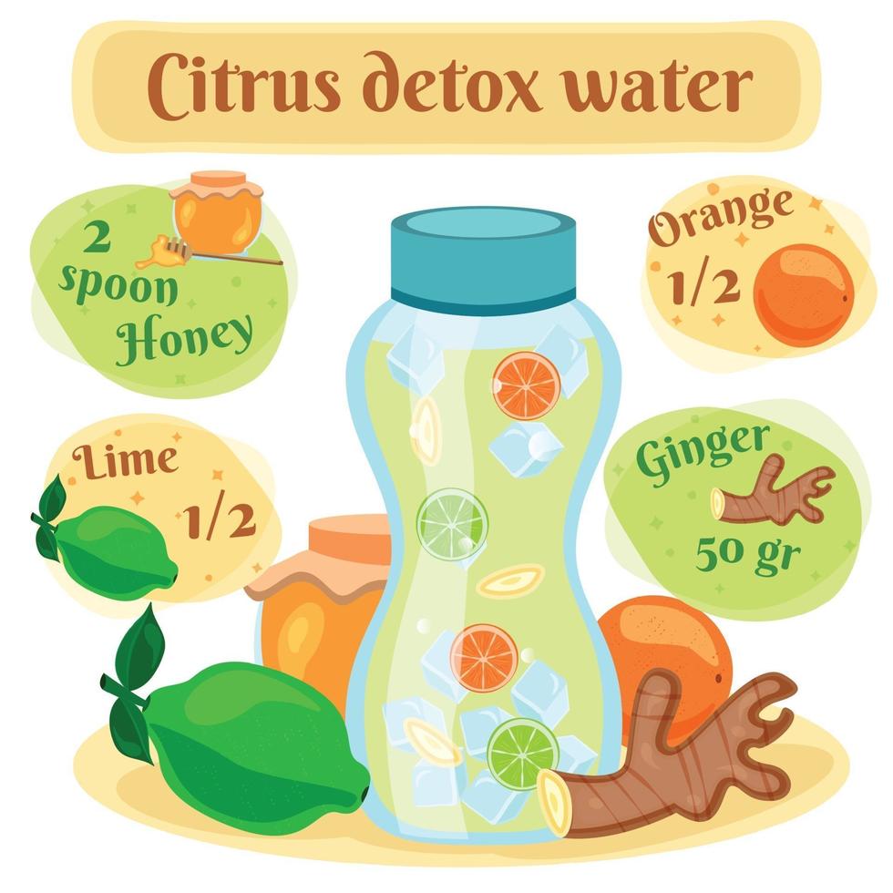 Detox Wasser Rezept flache Zusammensetzung Vektor-Illustration vektor