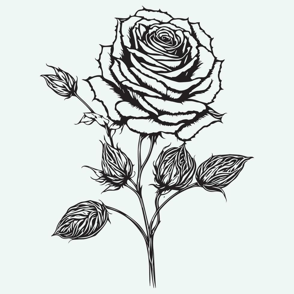 Hand gezeichnet Rose schwarz Gliederung Vektor auf Weiß Hintergrund, rot Rose Vektor, Rose Blume