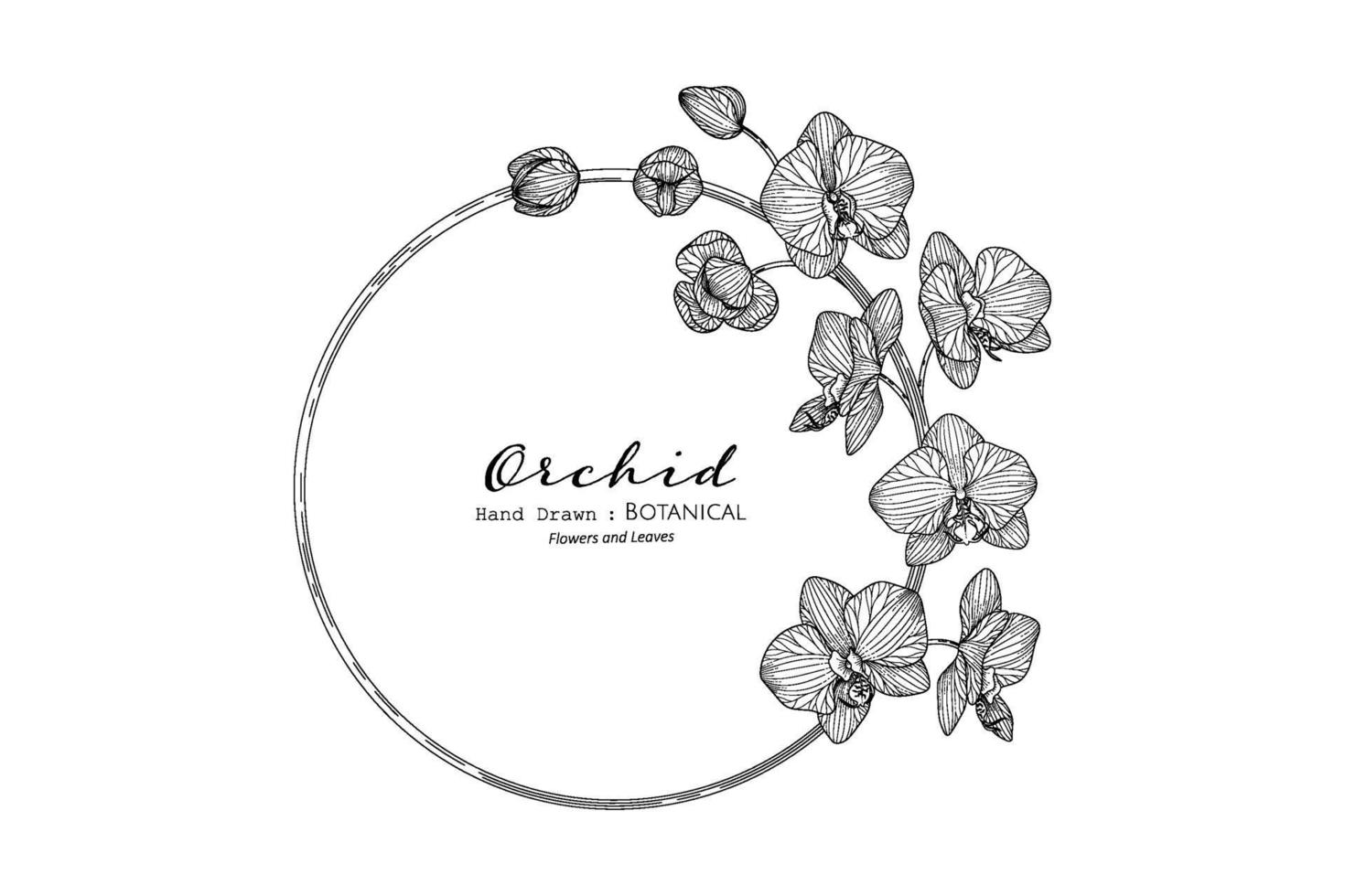 orkidéblomma och blad handritad botanisk illustration med konturteckningar. vektor