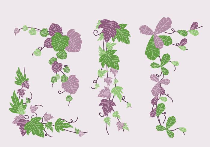 Grön och Lila Poison Ivy Vine Vector Illustration
