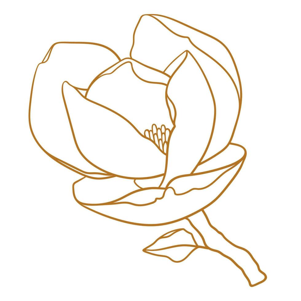 Magnolie Blume mit Ast im Gold Farbe. vektor