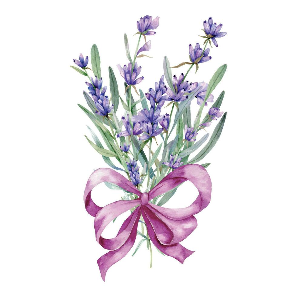 Lavendel Aquarell Illustration. Provence Kräuter Hand gemalt isoliert auf Weiß Hintergrund. perfekt zum Hochzeit Einladungen, Braut- Dusche und Blumen- Gruß Karten vektor