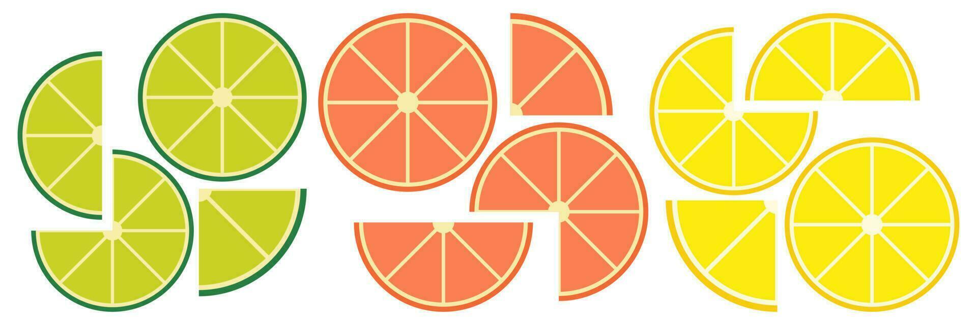 Zitrusfrüchte Scheiben von Zitrone, orange, Limette und Grapefruit. Sommer- Vektor Illustration Satz.