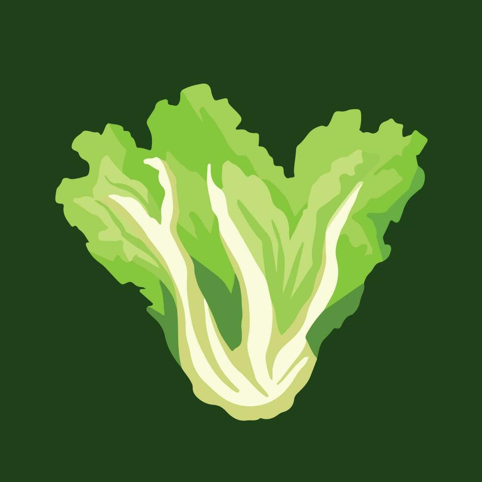 sallad grön löv vegetabiliska vektor illustration isolerat på grön fyrkant bakgrund. enkel och platt konst styled teckning.