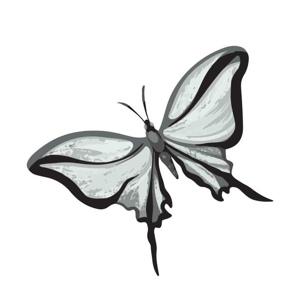 Graustufen Schmetterling Vektor Illustration isoliert auf Platz Weiß Hintergrund. einfarbig Schatten von grau einfach und eben gestylt Zeichnung.