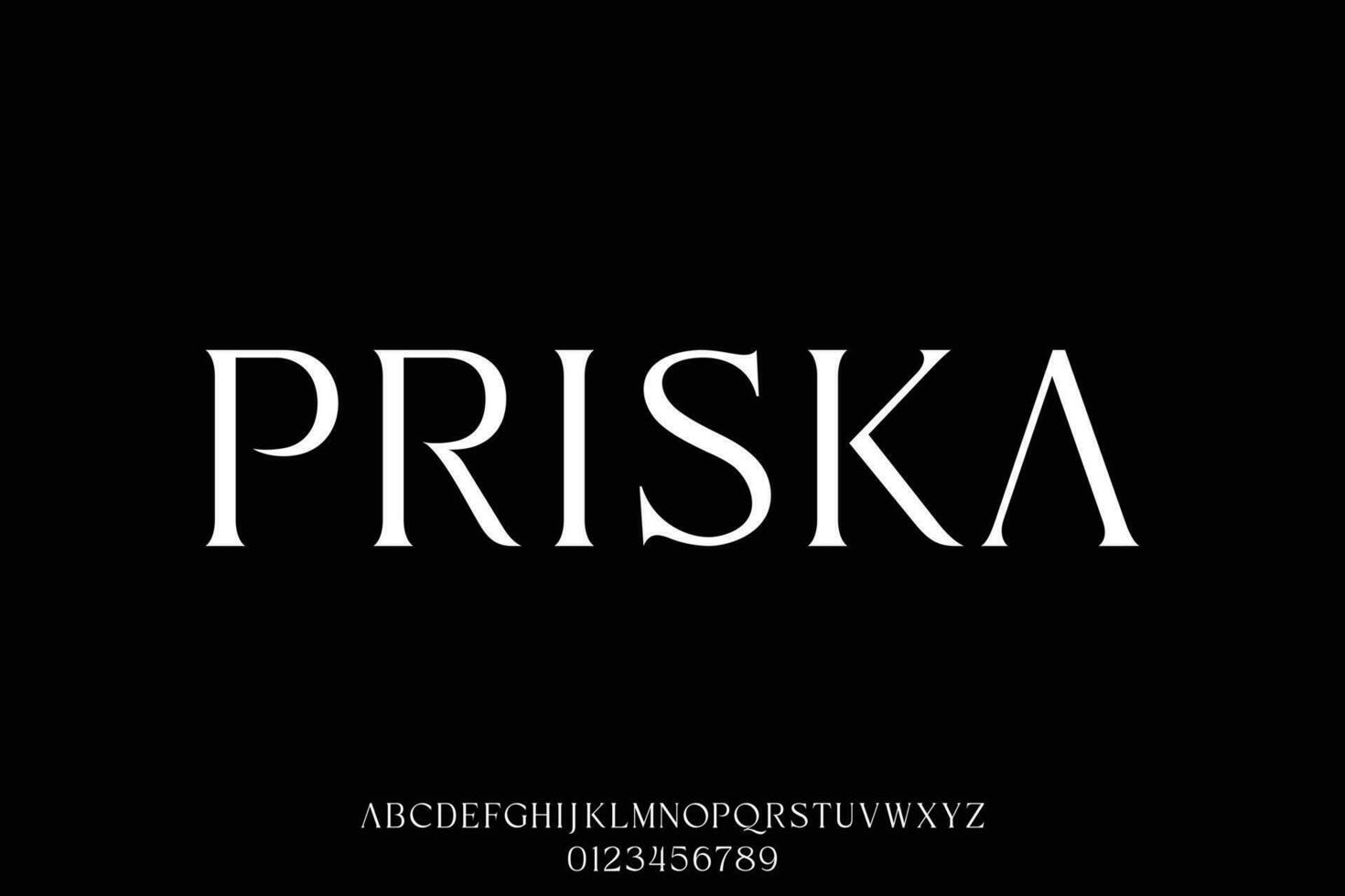 modern schick und elegant serif Anzeige Schriftart Vektor